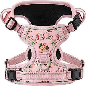 Best Dog Harness